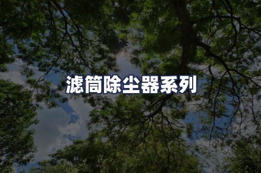 滤筒除尘器系列