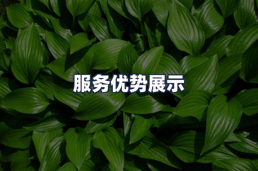 服务优势展示
